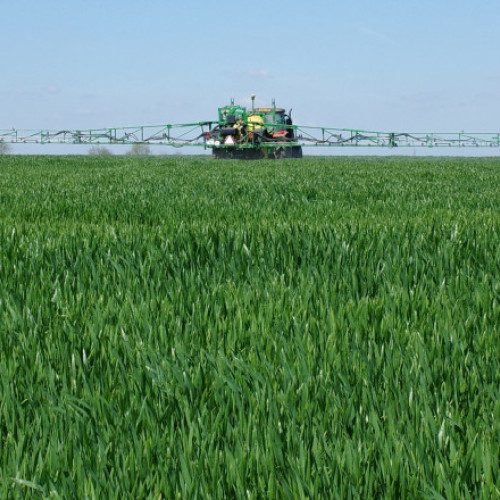 România riscă să piardă 500 de milioane de euro din fonduri europene pentru agricultură