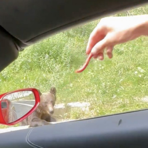 Andrew Tate provoacă din nou autoritățile prin postări pe rețelele sociale