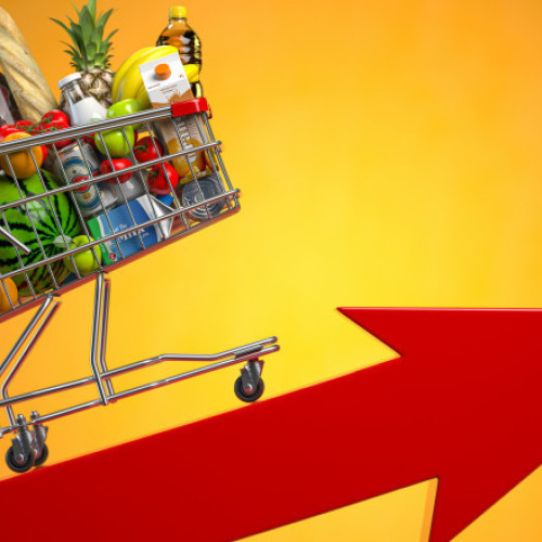 Rata anuala a inflatiei a crescut la 5,42% în iulie 2024