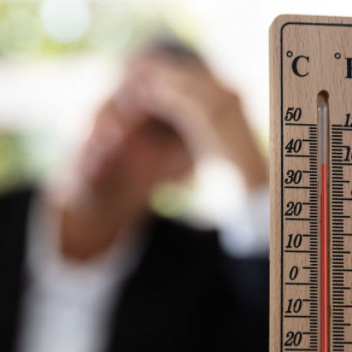 Roxana Bojariu avertizează asupra impactului încălzirii globale asupra sănătății publice