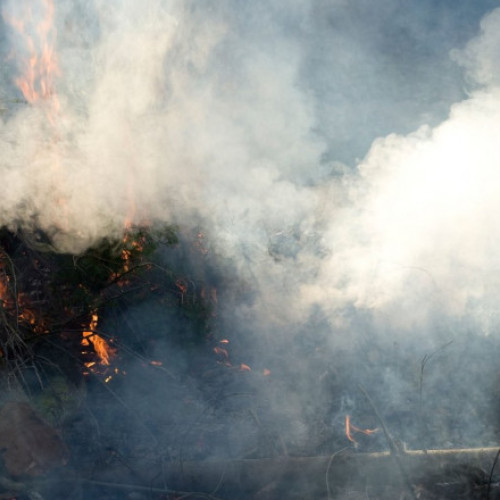 Incendiu de vegetație în pădurile din Baile Olanesti