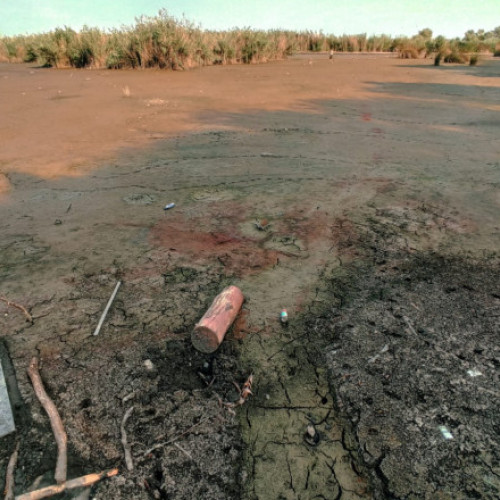 Efectele schimbărilor climatice afectează lacul Comana