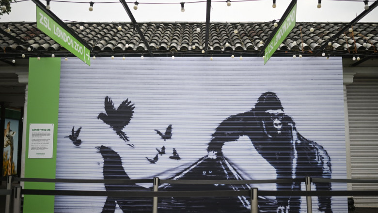 Lucrare Banksy îndepărtată de la Grădina Zoologică din Londra