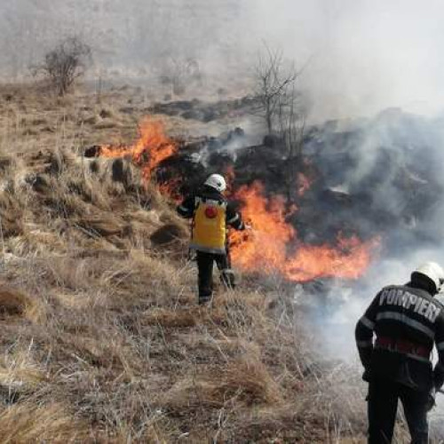 Incendiu devastator la Solca: 5 hectare de pădure și vegetație afectate