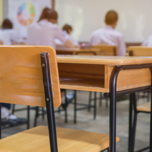 Avantajele &quot;Anului de Tranzitie&quot; in educatia irlandeza