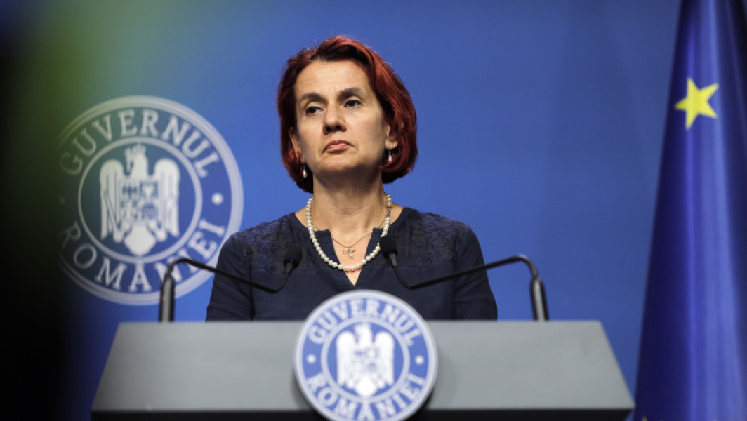 Ioana Dogioiu afirmă că a vorbit în baza mandatului premierului despre plafonarea adaosului comercial