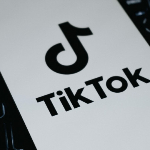 Interdicţia TikTok în Albania, ocolită masiv de utilizatori și atacată ca restricție a libertății