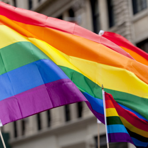 Parlamentul georgian adoptă în prima lectură un proiect de lege împotriva "propagandei LGBT"
